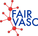 FAIRVASC